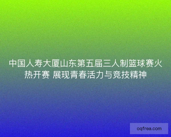 中国人寿大厦山东第五届三人制篮球赛火热开赛 展现青春活力与竞技精神
